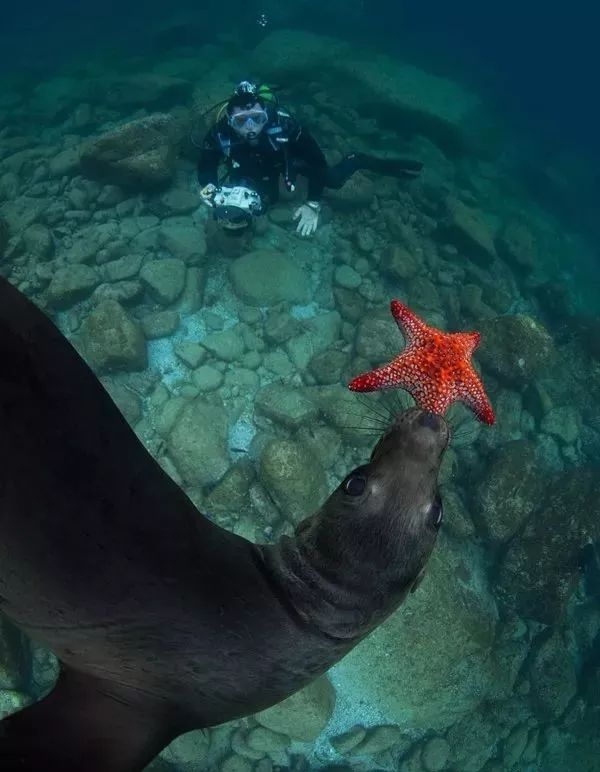 墨西哥游泳选手速度飞快，斩获第一！