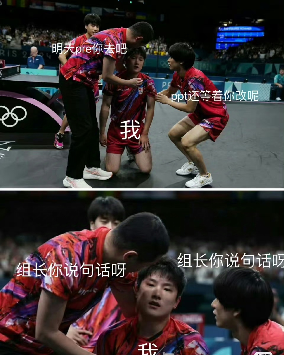 关于奥地利队横扫法国队,张本智和惊艳四座的信息 关于奥地利队横扫法国队,张本智和惊艳四座的信息