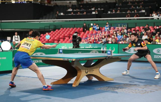 波兰队险胜德国队，张本智和刷新纪录的简单介绍