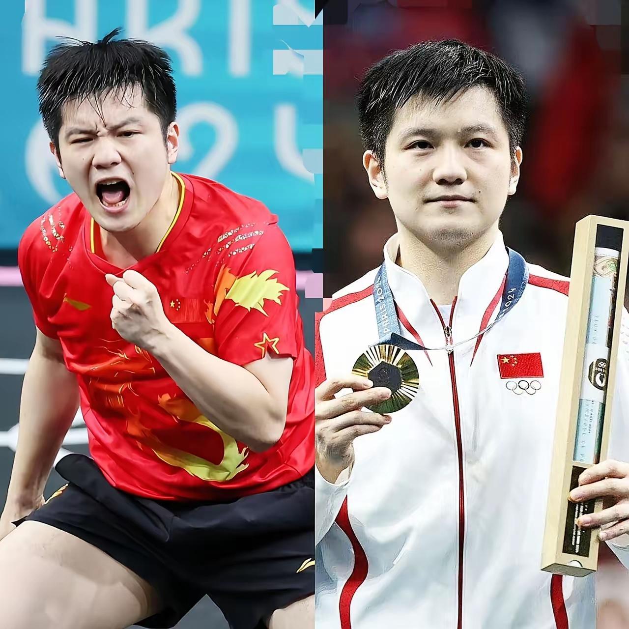 开云官方app入口-法国队逆转奥地利队，樊振东关键制胜的简单介绍